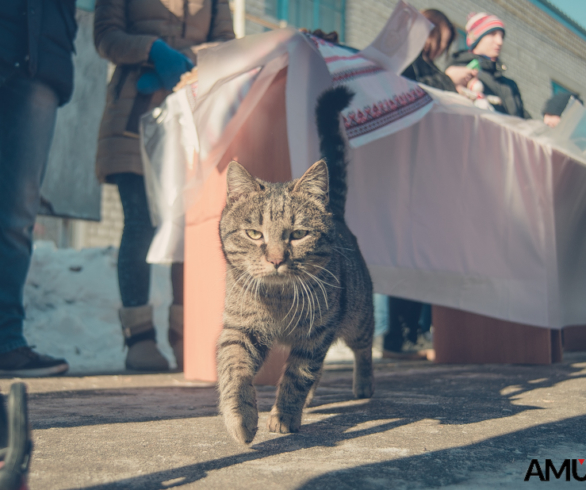 В ДальГАУ начали масленичную неделю