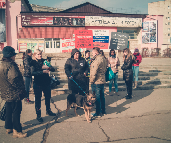 Активисты пришли на митинг в защиту животных со своими питомцами