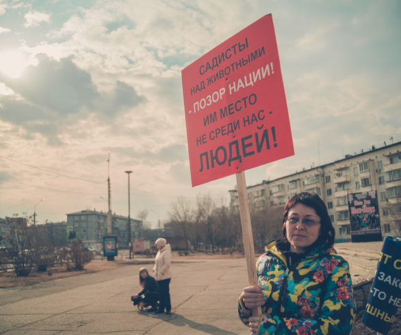 Активисты пришли на митинг в защиту животных со своими питомцами