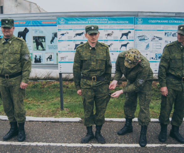 Фотокор «АмурЛенты» побывал на тренировке пограничных собак и лошадей