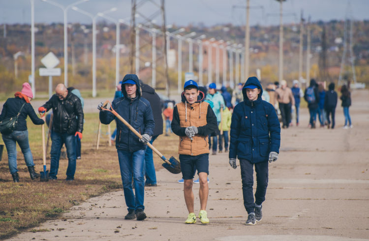 Около 500 человек пришли сегодня посадить деревья в районе Тайваня