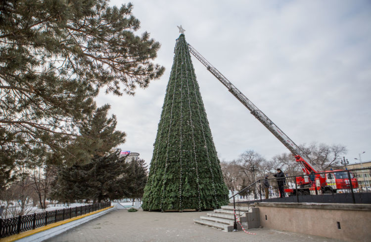 На главной площади Благовещенска установили новогоднюю елку